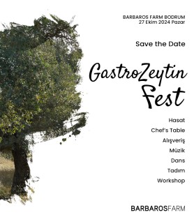 GastroZeytin Fest