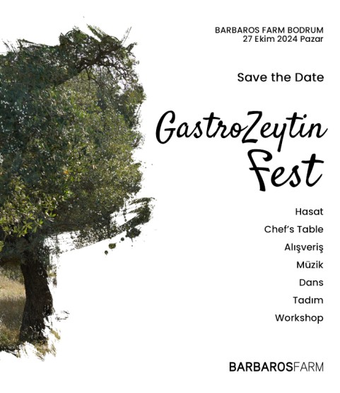 GastroZeytin Fest