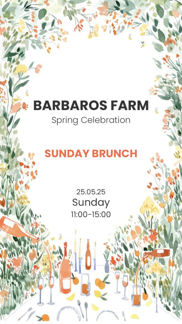 Barbaros Farm Pazar Brunch